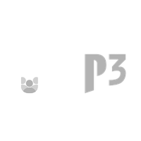 Logo - ONE P3